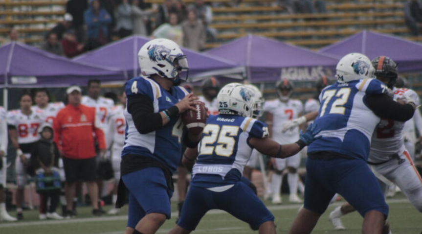 Alistan Lobos su ataque