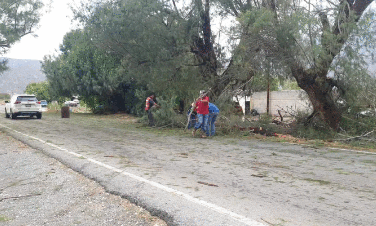 Tromba azota Cuatro Ciénegas
