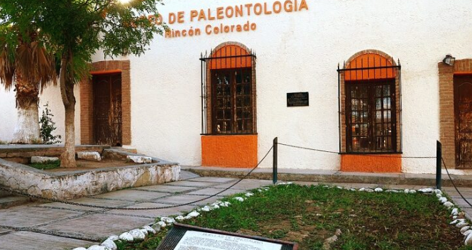 Promueve INAH turismo paleontológico