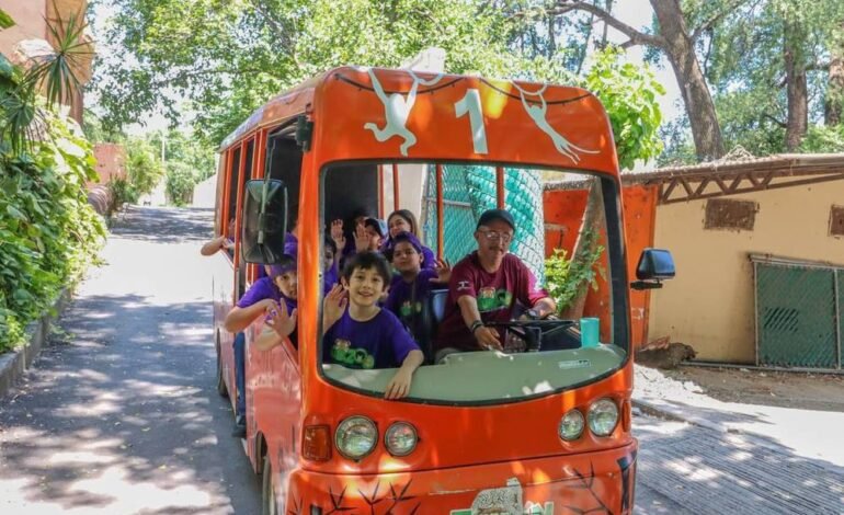 Forman cursos de verano una mejor sociedad desde la infancia: CPBT