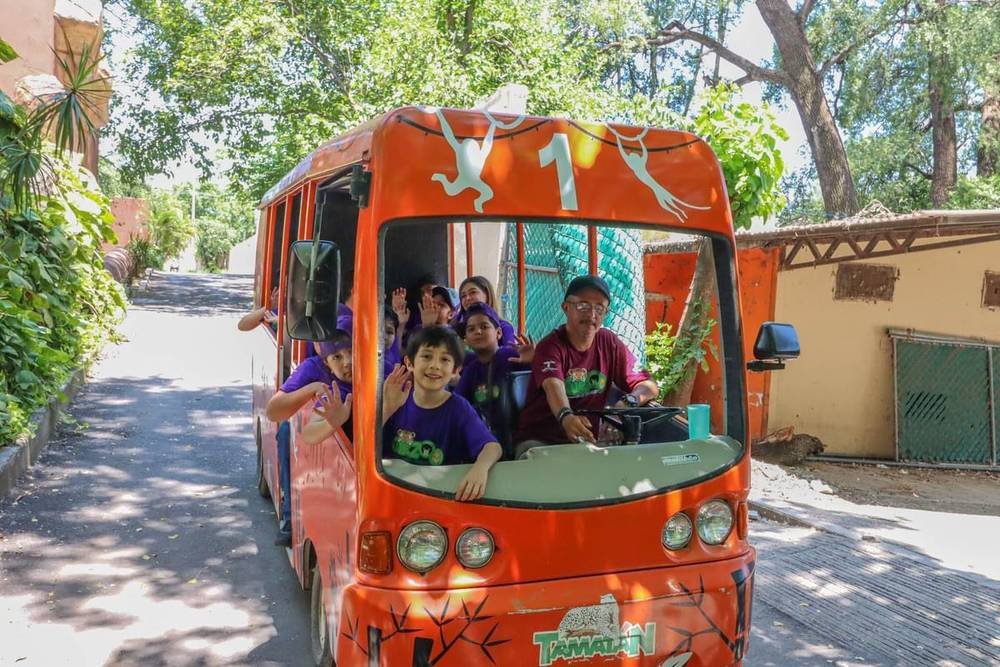 Forman cursos de verano una mejor sociedad desde la infancia: CPBT