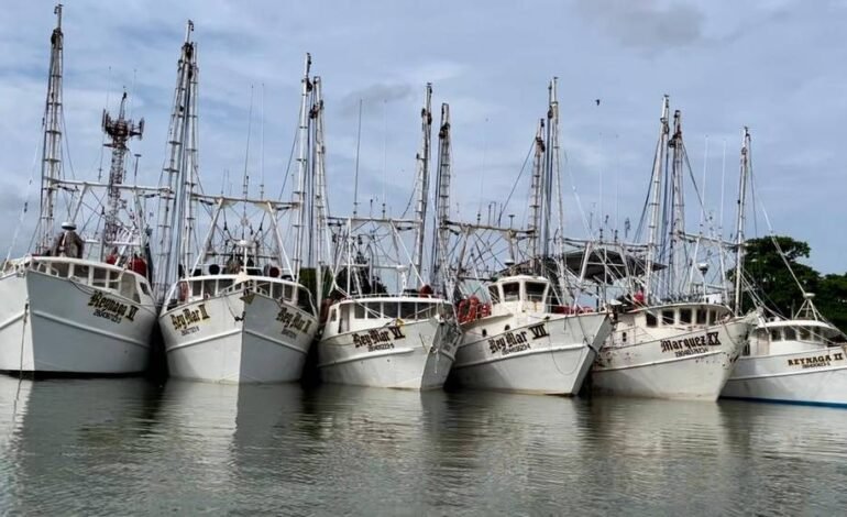 Es flota camaronera tamaulipeca, la más grande del Golfo de México