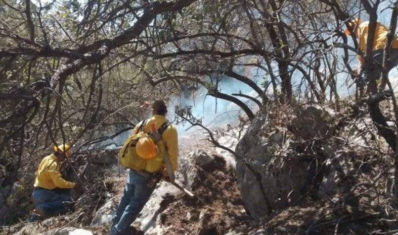 Participación ciudadana, clave en prevención de incendios forestales