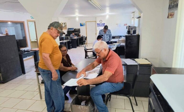 Amplían ventanillas para apoyo de sorgo, trigo y diésel