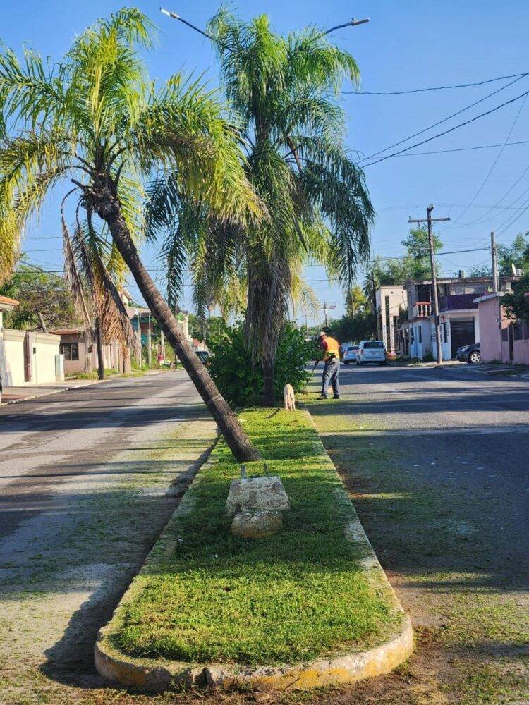 Continúan labores de limpieza por parte de servicios públicos primarios.