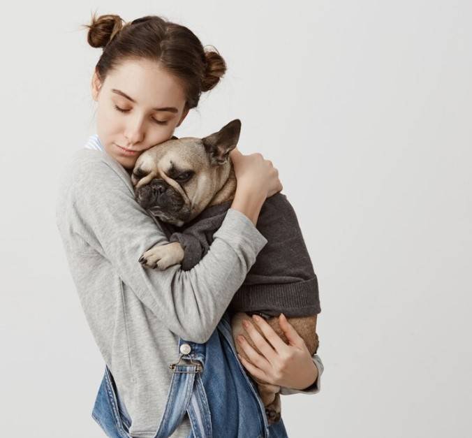 Congreso exige cumplimiento en protección y trato digno a los animales