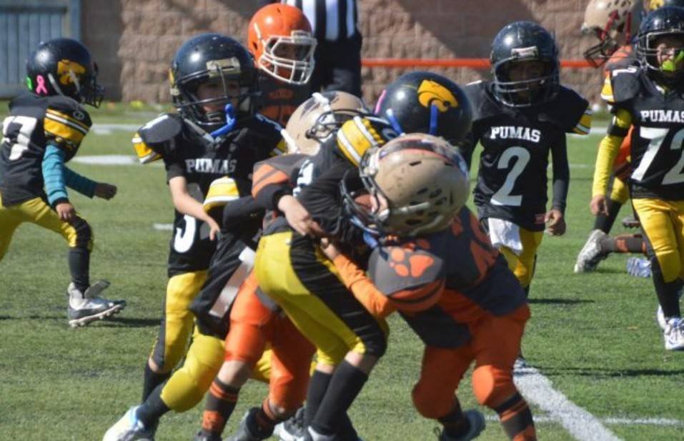 ¡Poder Felino! Pumas rugen fuerte y aseguran su lugar en las finales