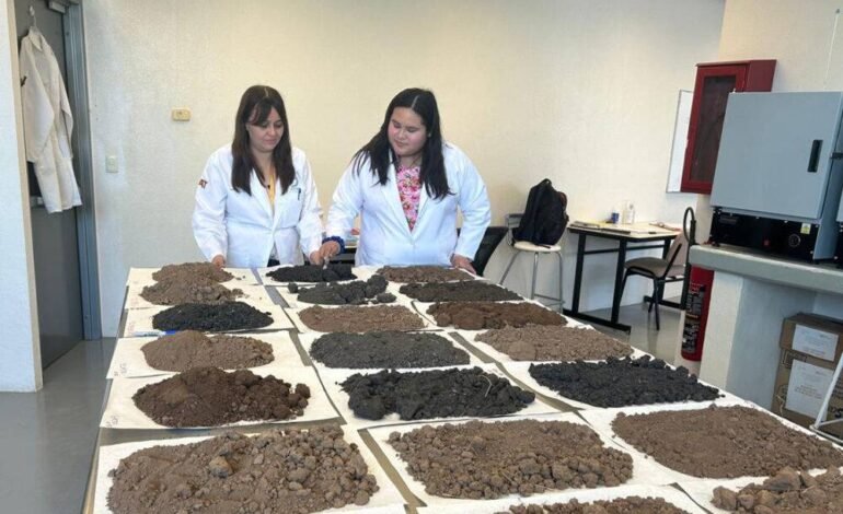 Analiza estudiante de la UAT la presencia de metales pesados en suelos de cultivo citrícola