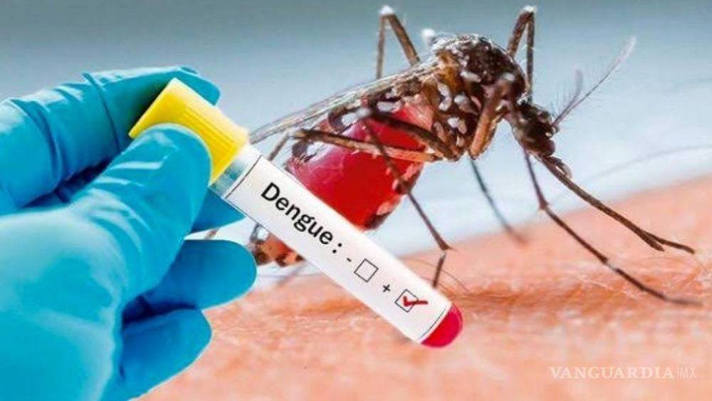 2024: Año histórico por casos de dengue en Coahuila