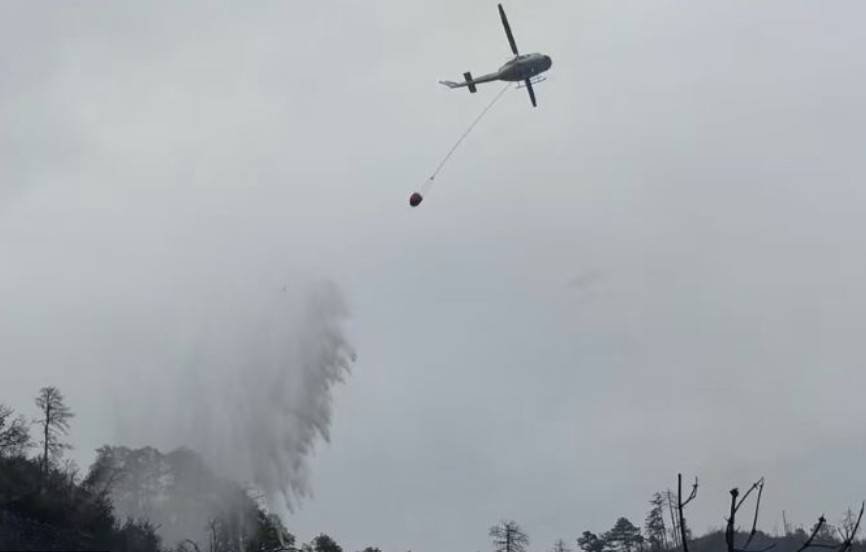 Tragedia en Nuevo León: Vuelca camioneta y deja 12 muertos