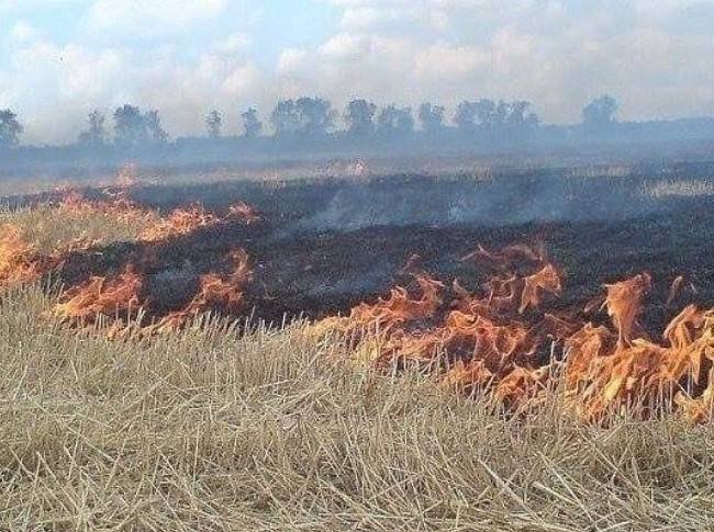 Reiteran el riesgo que implica realizar quemas agrícolas
