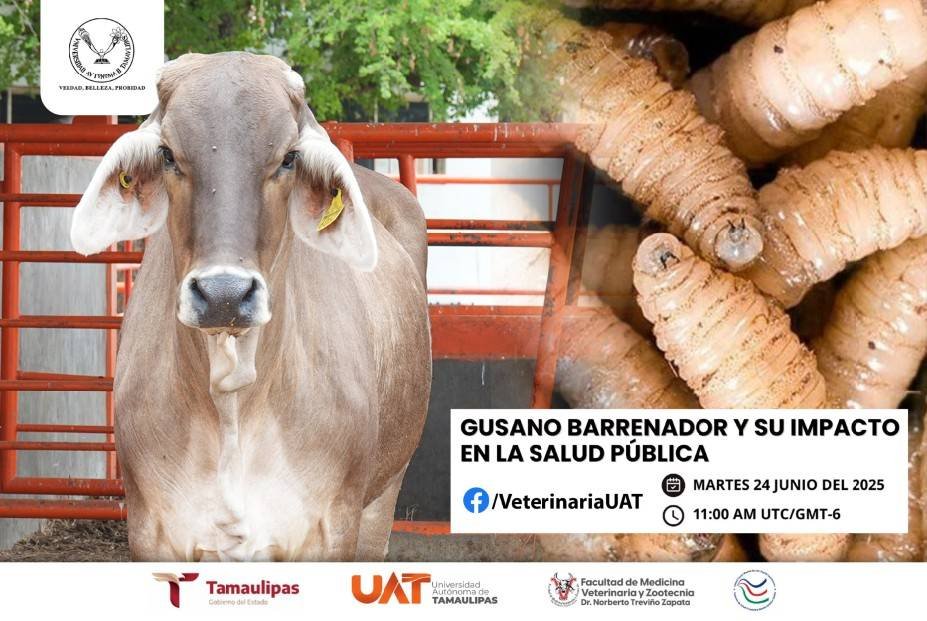 Dará la UAT conferencias sobre gusano barrenador y su impacto en la salud pública