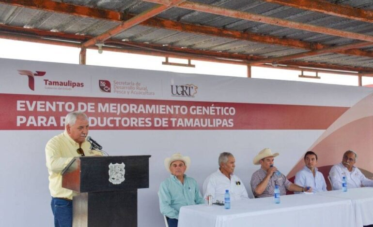 Impulsa Tamaulipas sector ganadero con Programa de Mejoramiento Genético