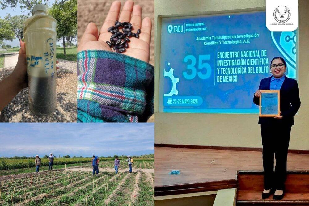 Elabora estudiante de la UAT bioherbicida para cultivos de frijol